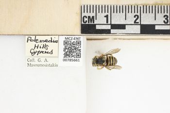 Media type: image;   Entomology 785661 Aspect: Labels